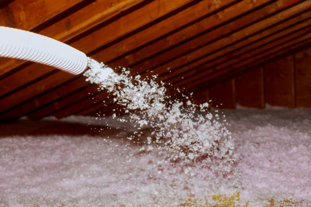 Best Insulation Replacement Services  in Anton, TX
