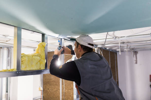 Best Soundproof Insulation Installation  in Anton, TX