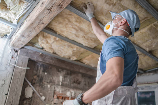 Best Insulation Removal  in Anton, TX