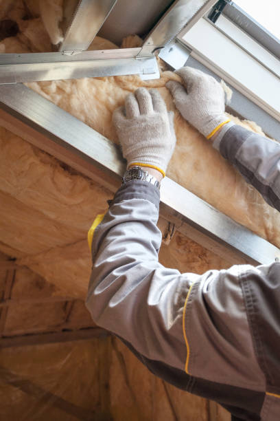 Best Attic Insulation Installation  in Anton, TX