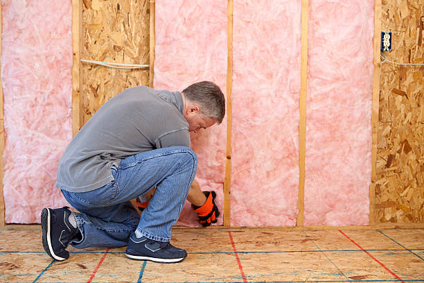 Best Blown-in Insulation  in Anton, TX