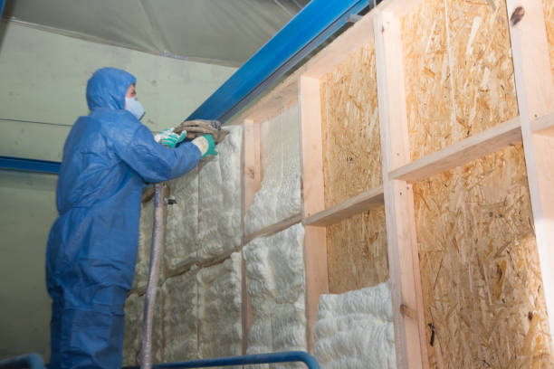 Best Blown-in Insulation  in Anton, TX