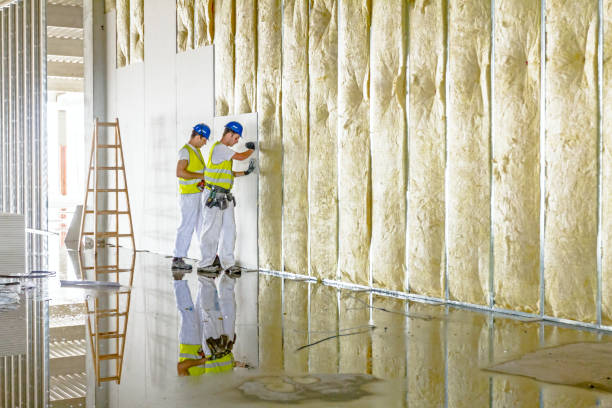 Best Local Insulation Services  in Anton, TX